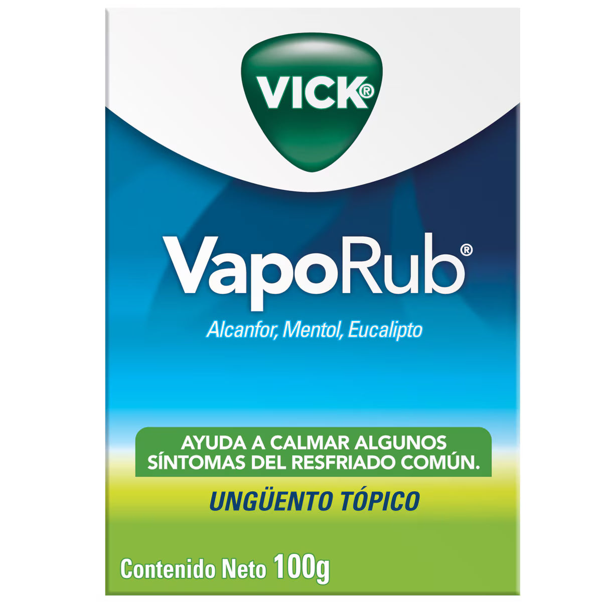 Vick Vaporub Alcanfor + Mentol + Aceite De Eucalipto 5,26g/2,82g/1,33g Ungüento Frasco X 100 Gr
